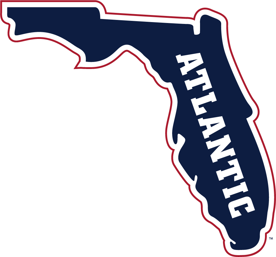 Florida Atlantic Owls 2015-Pres Secondary Logo diy DTF decal sticker